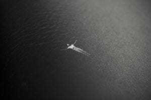 Lost & Found - Tombor Zoltán